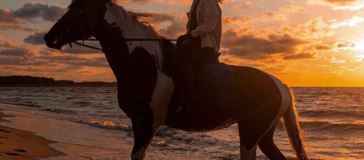 Horseback riding on the beach at sunset in Rocky Point