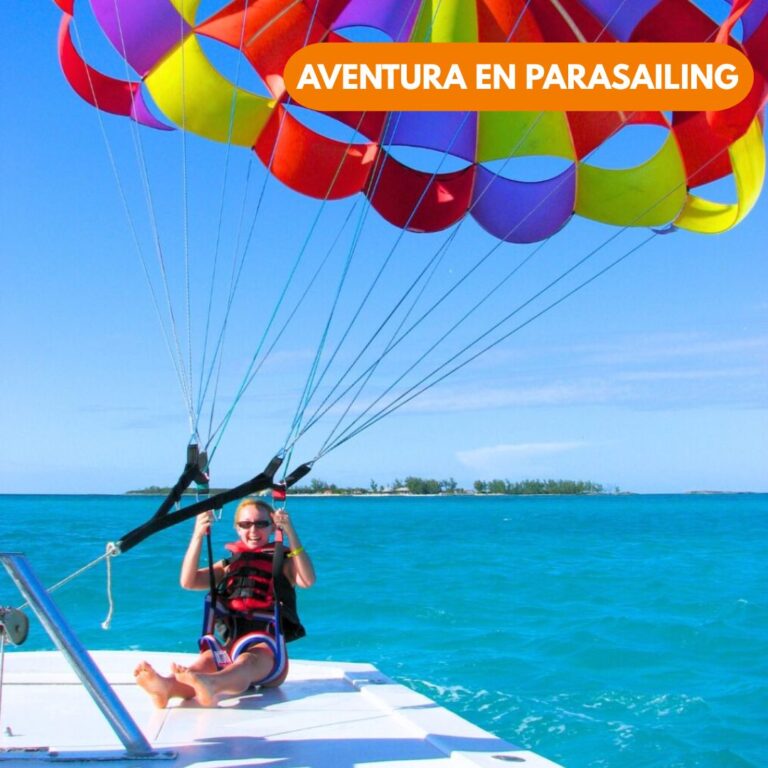 La vista desde arriba