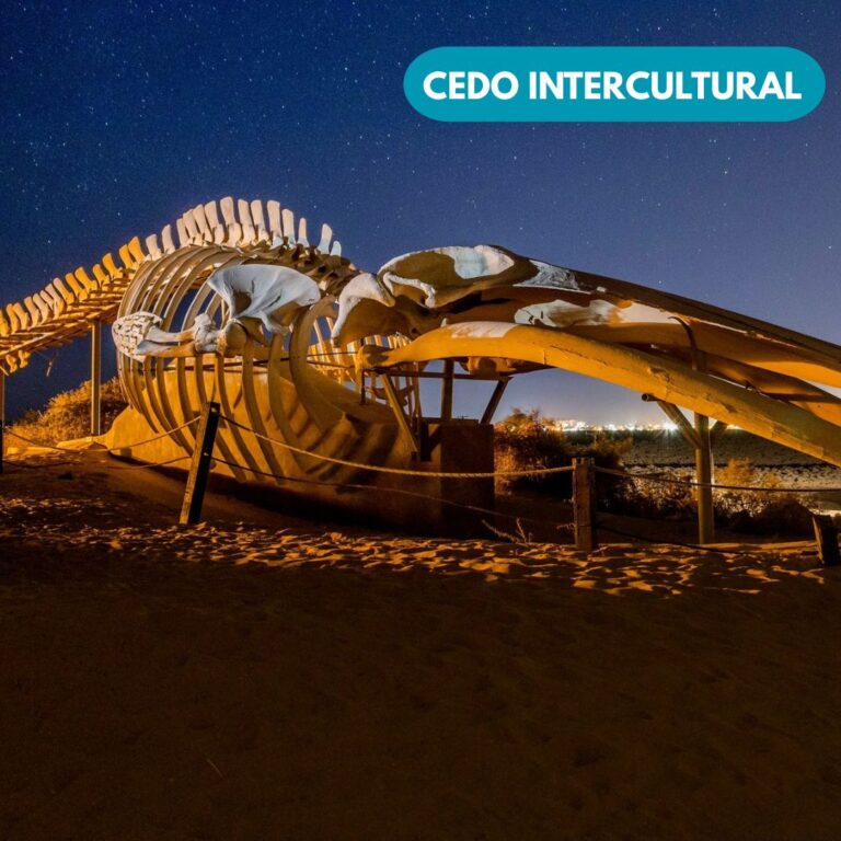 Conectar con la naturaleza