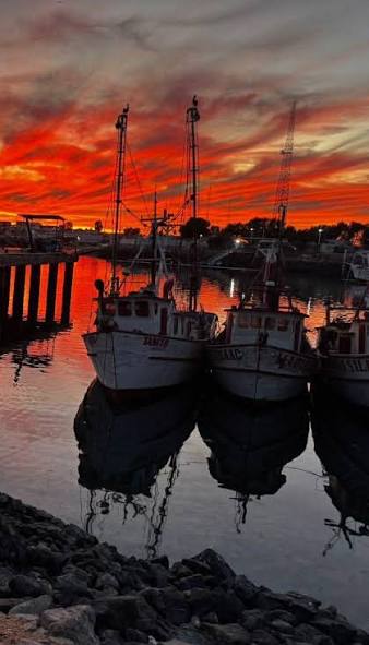10 must see places in Rocky Point