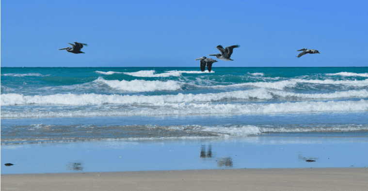 Playa Encanto in Puerto Penasco